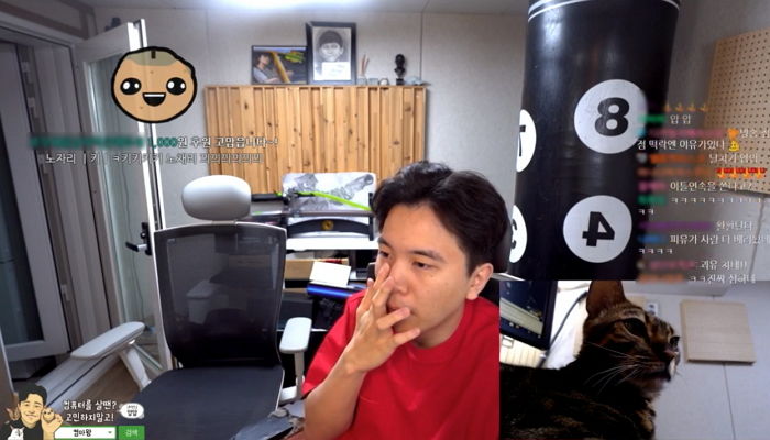 인사이트