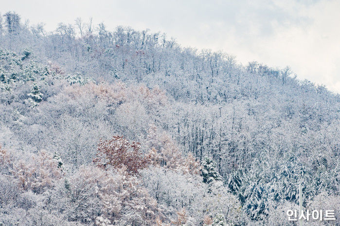 월요일인 내일(6일), 전국에 눈+비 쏟아져 우산 꼭 챙겨야 한다