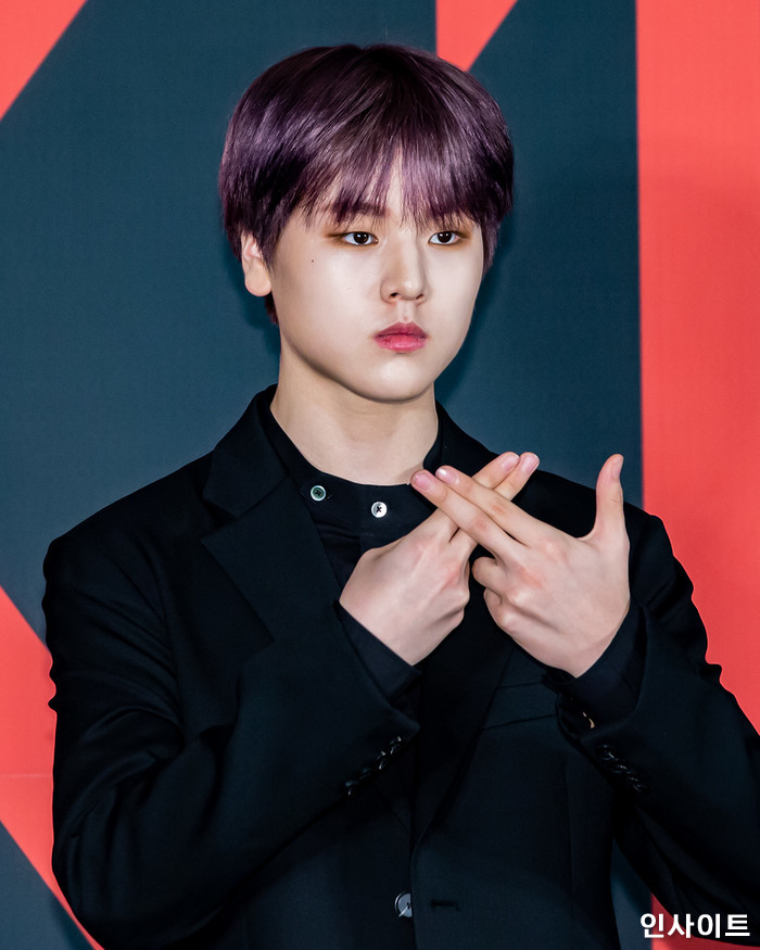 인사이트 / 사진=고대현 기자 daehyun@