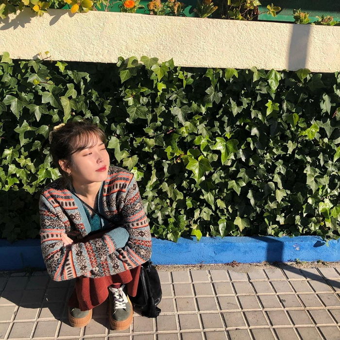 인사이트