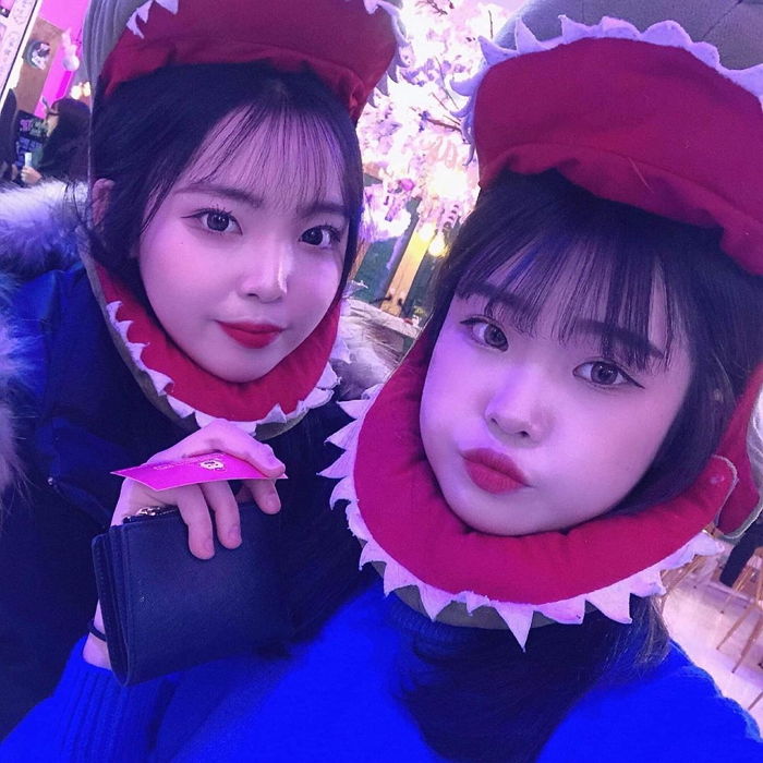 인사이트