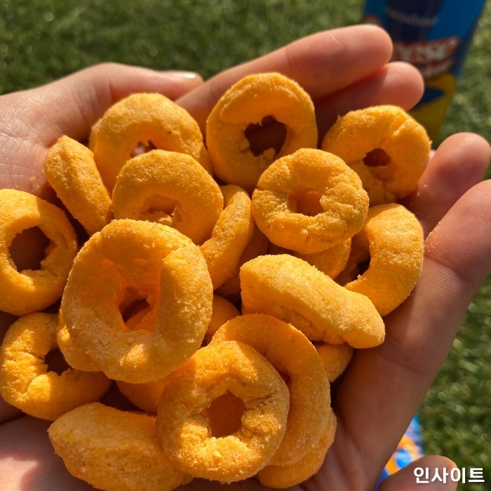 인사이트 / 사진=인사이트