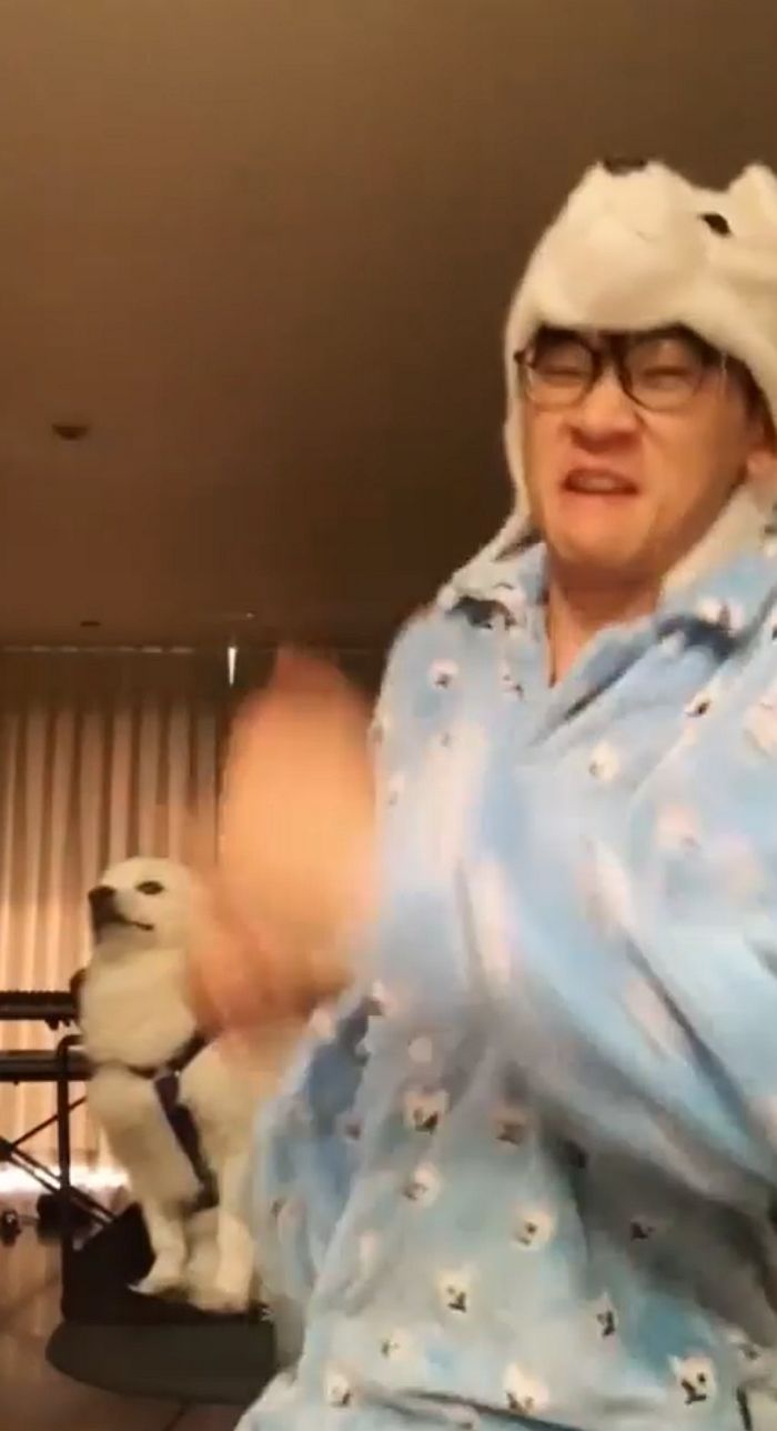 인사이트