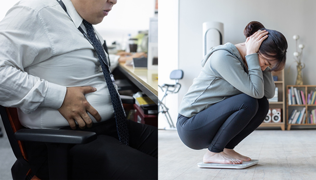 “설날 음식 먹고 찐살 굶지말고 빼자!” 포심비(포만+만족감) 높은 ‘포켓도시락’