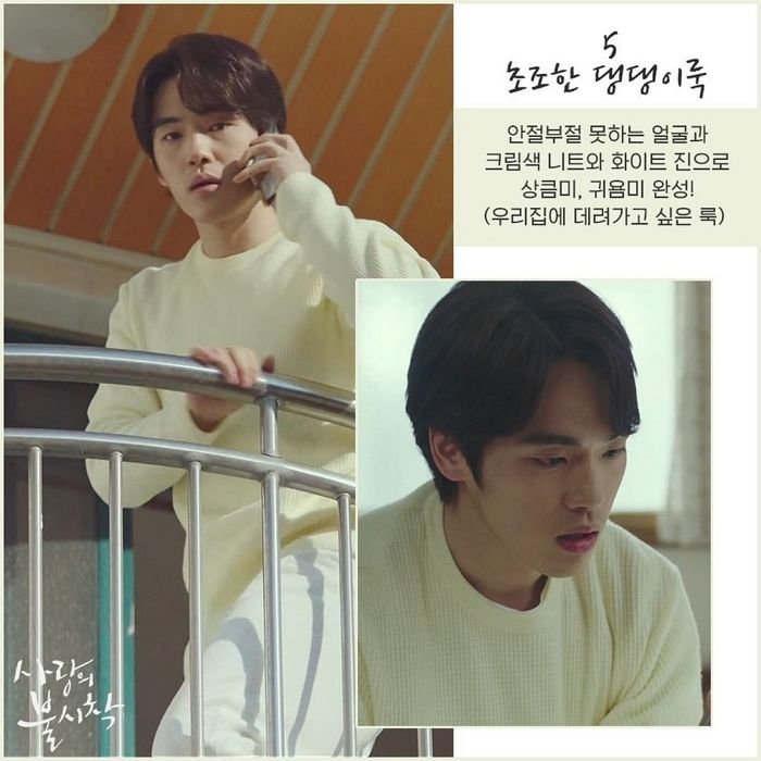 인사이트