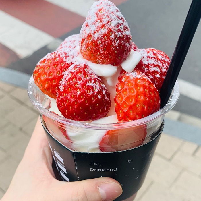 인사이트
