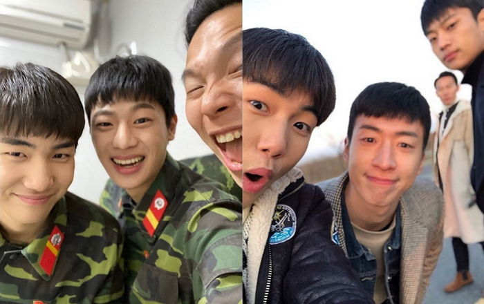인사이트