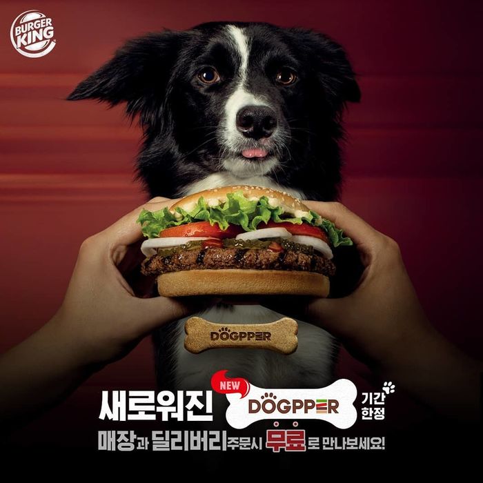 버거킹 오늘(17일)부터 버거 시키면 우리집 ‘뚱이’ 위한 ‘댕댕이 전용 와퍼’ 공짜로 준다