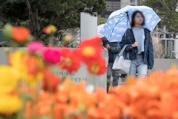 3·1절인 내일(1일), 전국 포근한 가운데 밤부터 곳곳에 ‘봄비’ 내린다