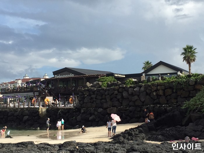 인사이트 / 사진=인사이트