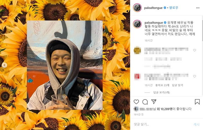 인사이트