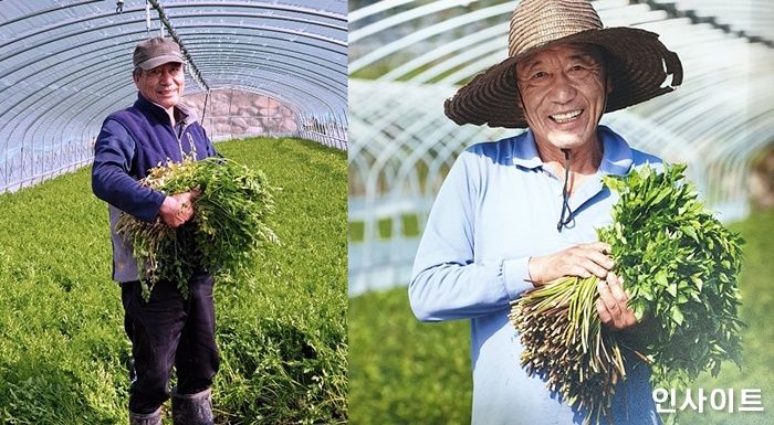 킴스클럽, ‘코로나19’ 피해 입은 청도 미나리 농가 위해 발 벗고 나선다