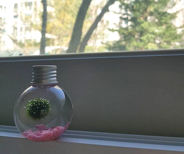 인사이트