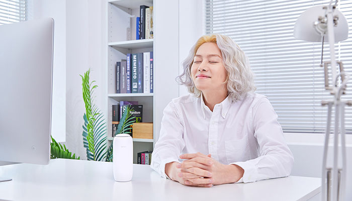 인사이트
