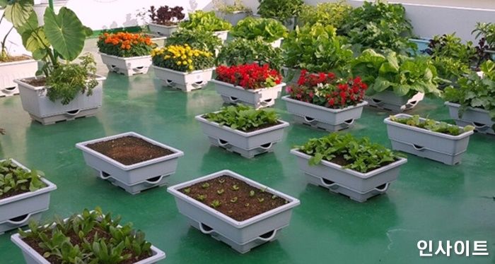 “서대문구 주민이라면 ‘도시농부’에 도전하세요!” ... 서대문구청 상자텃밭 보급한다