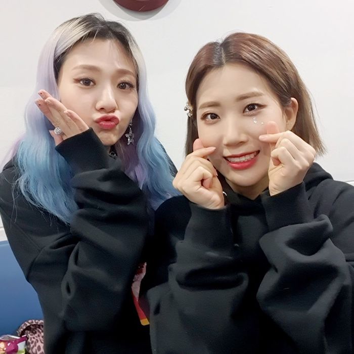 인사이트
