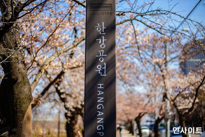 인사이트 / 사진=고대현 기자 daehyun@