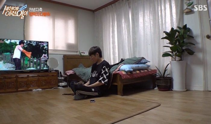 인사이트