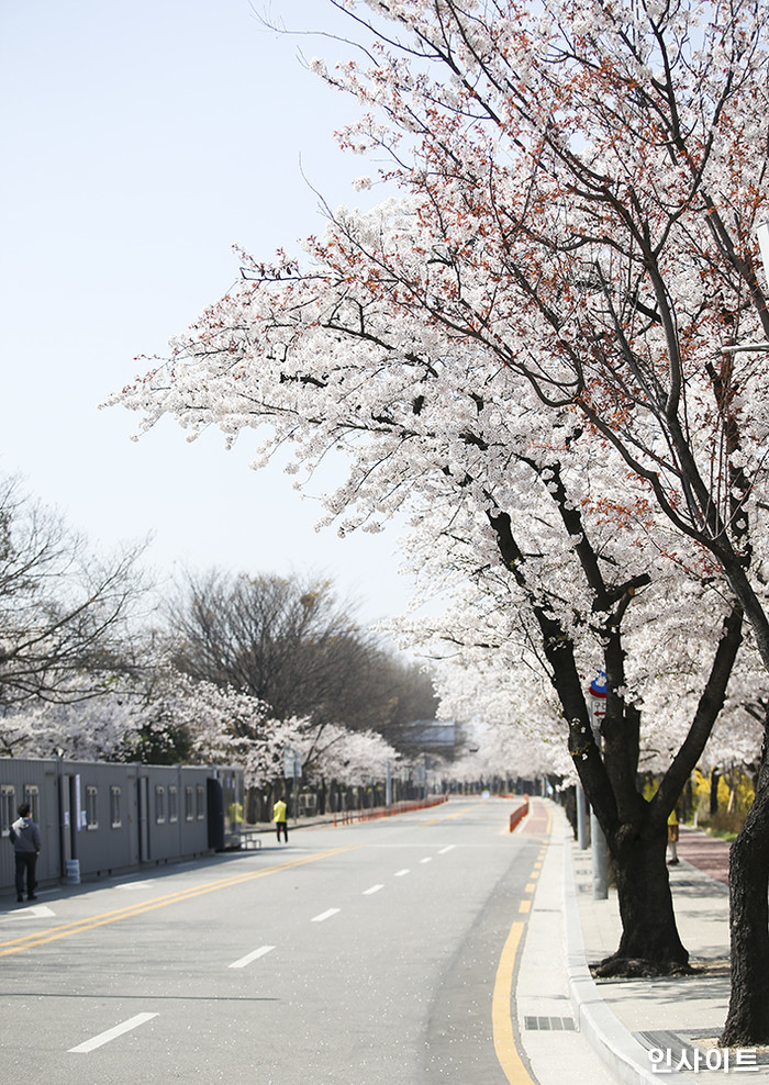 인사이트 / 사진=박찬하 기자 chanha@