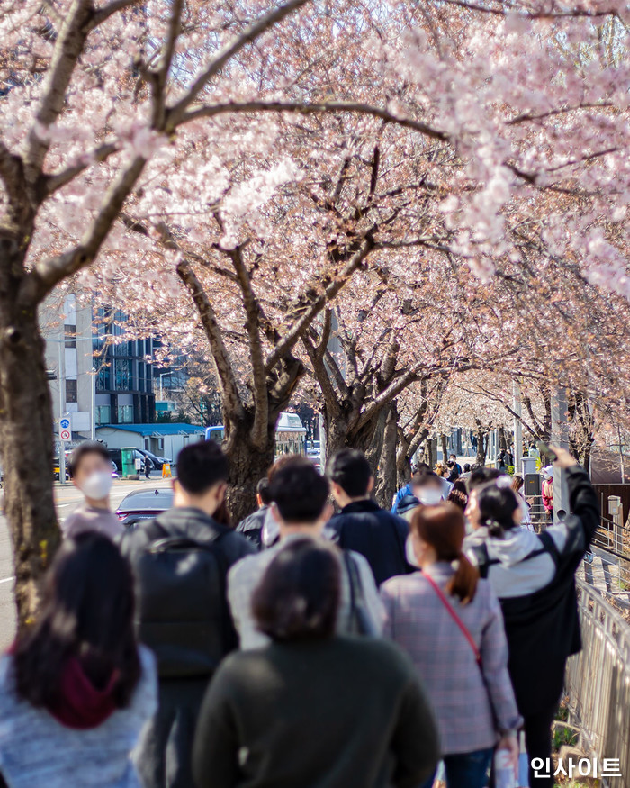 인사이트 / 사진=고대현 기자 daehyun@