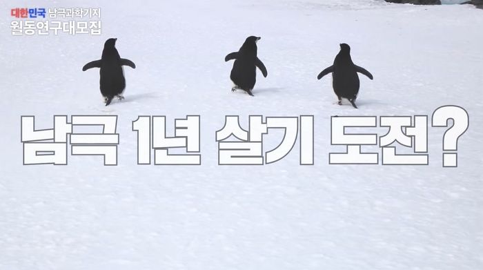 “남극서 연봉 6400만원 받으며 펭귄과 함께 ‘1년 살기’ 도전하실 분 찾습니다”