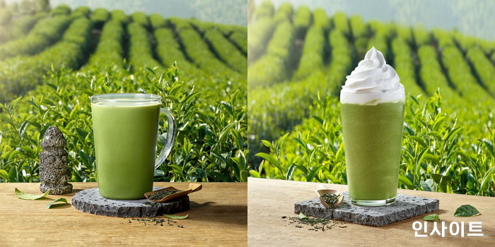 스타벅스, ‘제주산 유기농 말차 음료’ 이제 매장에서 매일 즐길 수 있다