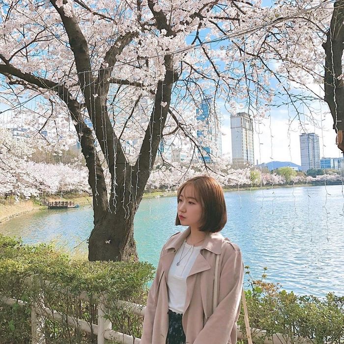 인사이트
