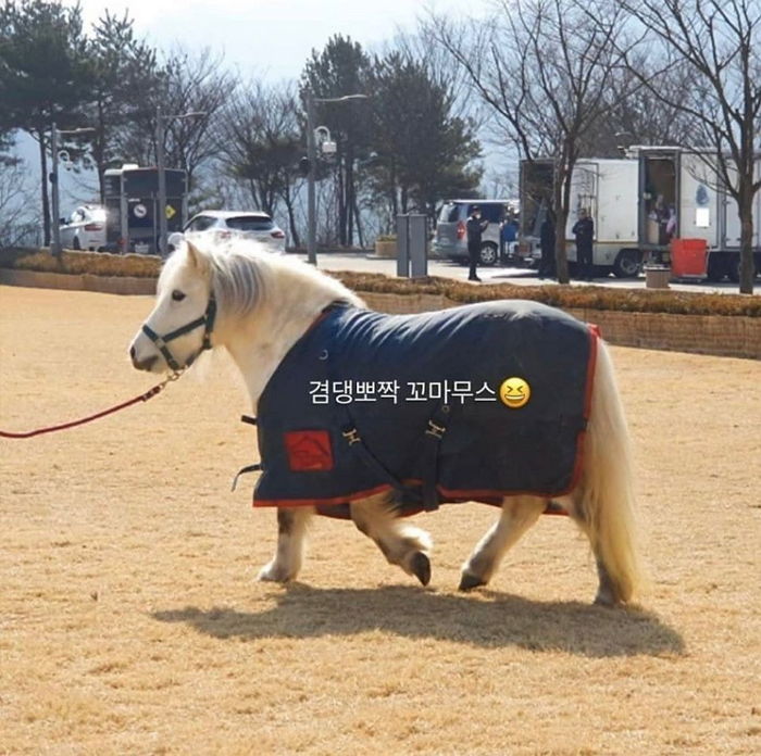 이민호 보려고 틀었다 입덕한 사람 속출하고 있는 ‘더킹’ 맥시무스 아역 ‘꼬마무스’