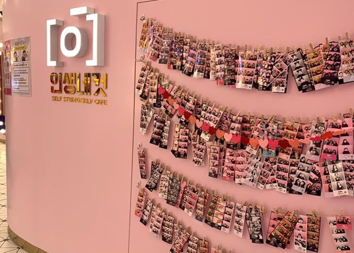 인사이트