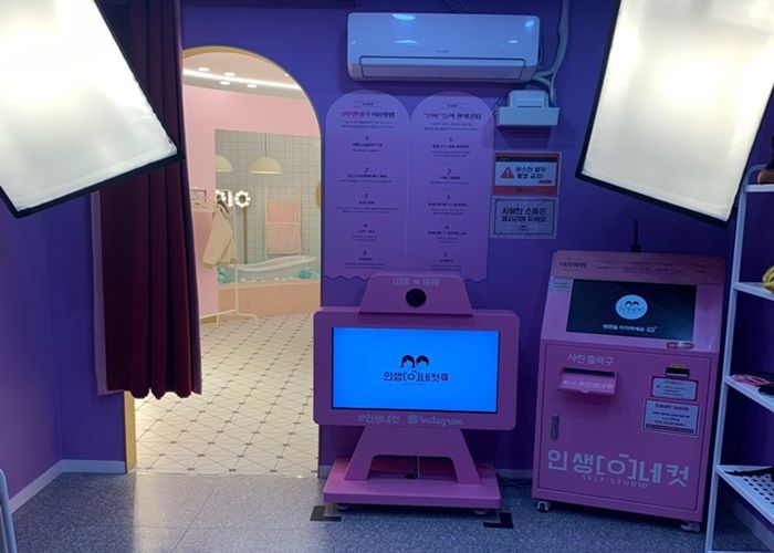 인사이트