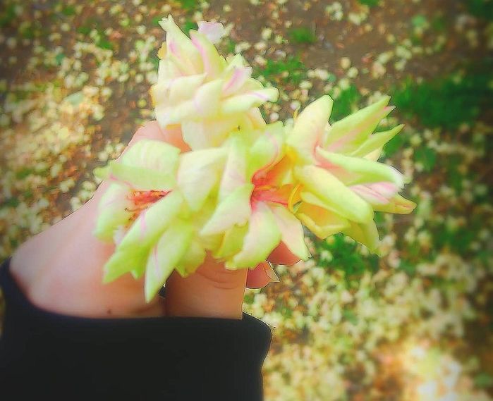 인사이트