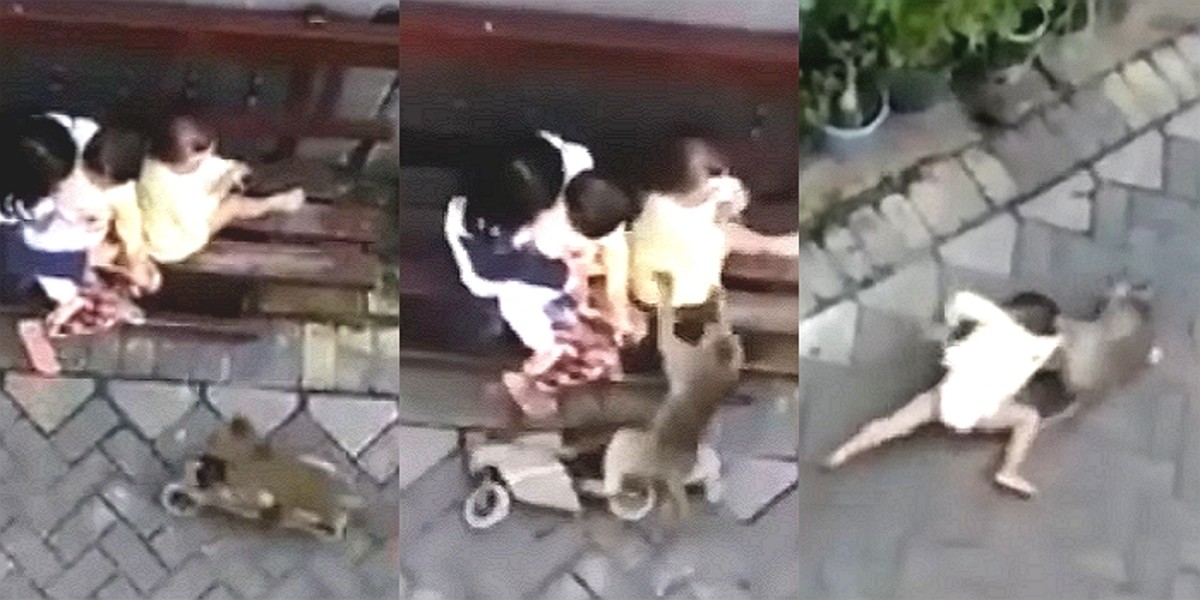 원숭이 자전거
