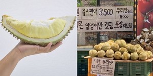동네과일 이미지