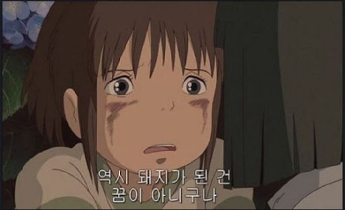 인사이트