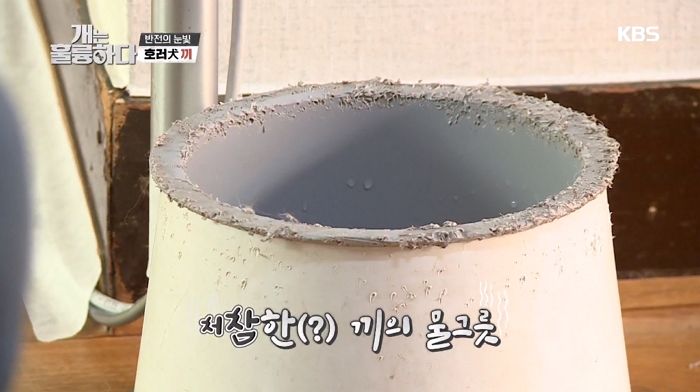 난폭한 반려견이 고민이라는 주인에게 “혼자 있는 시간 많아 외로워서 그렇다”고 화낸 강형욱