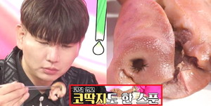 돼지코 이미지