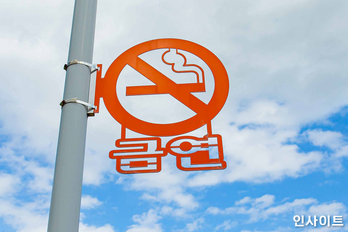 인사이트 / 사진=인사이트