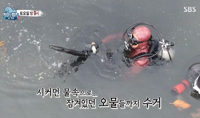 인사이트