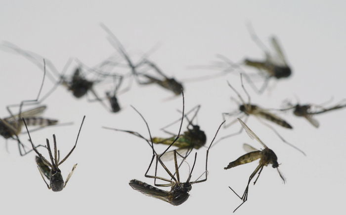 기사와 관련 없는 자료 사진 / gettyimagesBank