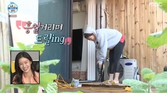 인사이트