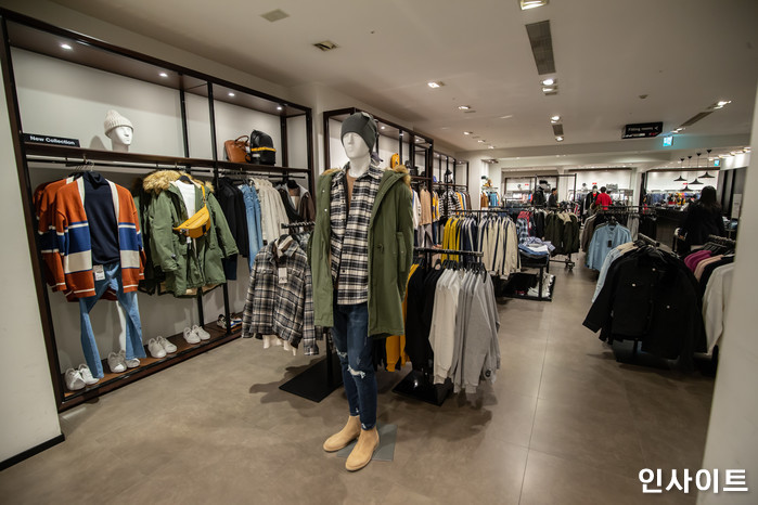 인사이트 / 사진=인사이트