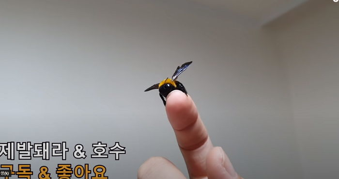 “친해진 아기 호박벌을 ‘자연’으로 보내주고 왔습니다”