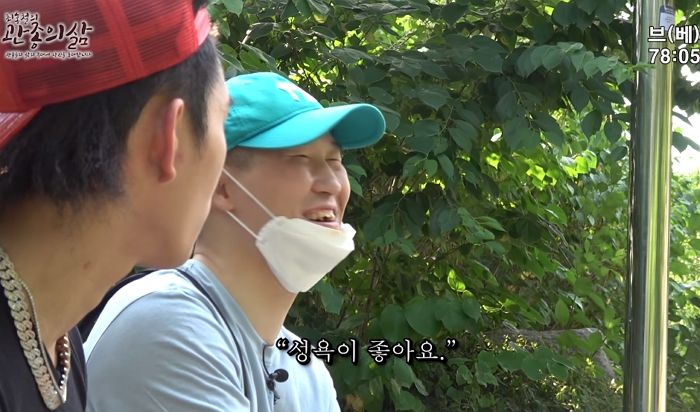 인사이트