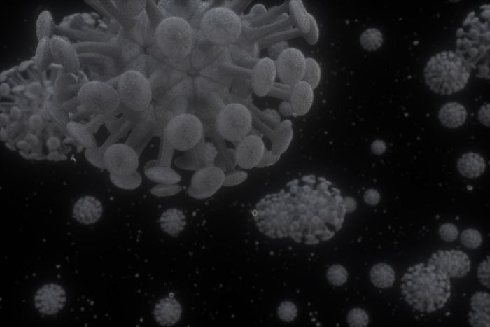 기사와 관련 없는 자료 사진 / gettyimagesBank