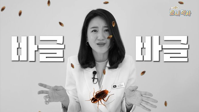 인사이트