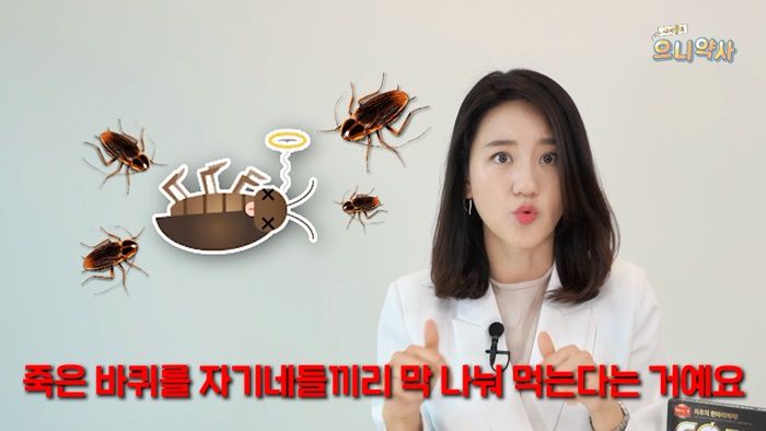 인사이트