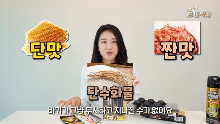 인사이트