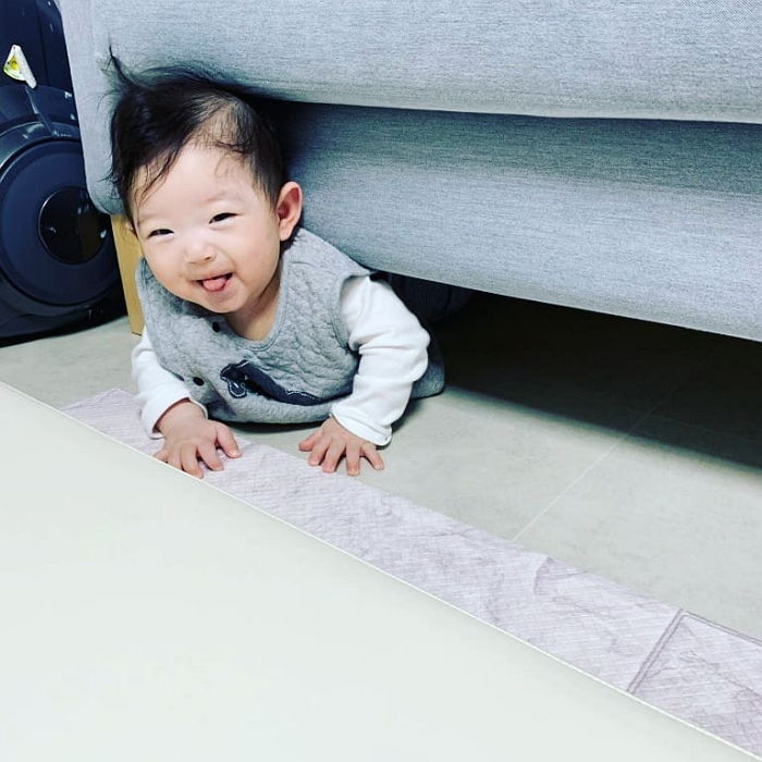 인사이트