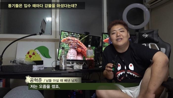 인사이트