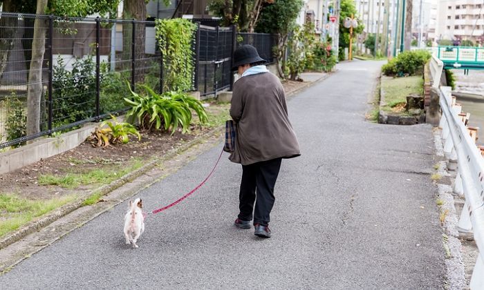 목줄 안한 강아지 피해 넘어진 여성, 견주한테 ‘3780만원’ 받는다